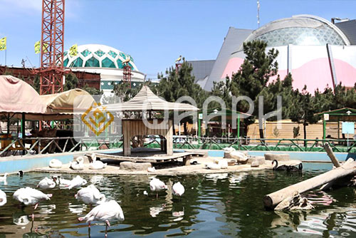 iran-mashhad-bird-garden-1